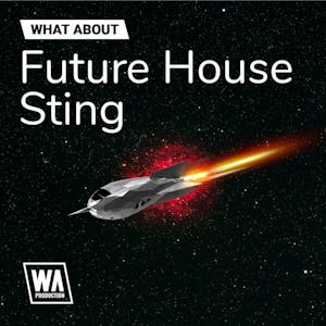 Future House Sting